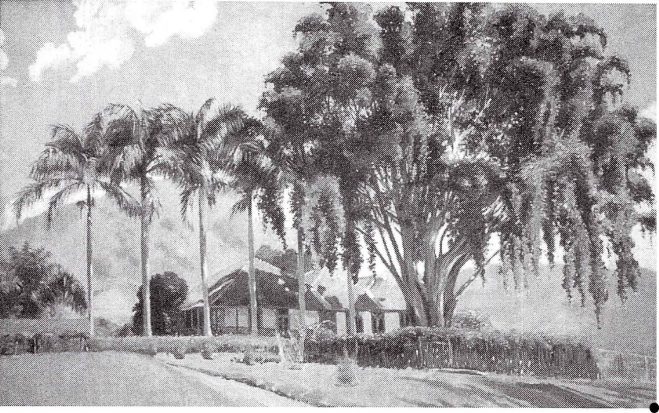 Het administrateurshuis van de theeonderneming Parakan Salak 1913)