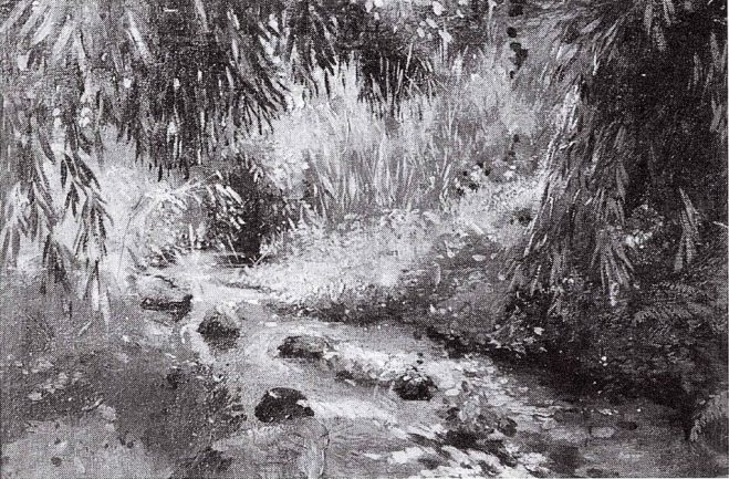 Beekje door oerwoud bij theeonderneming Malabar (1913)